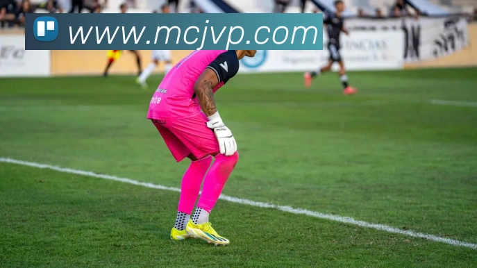 电竞数据